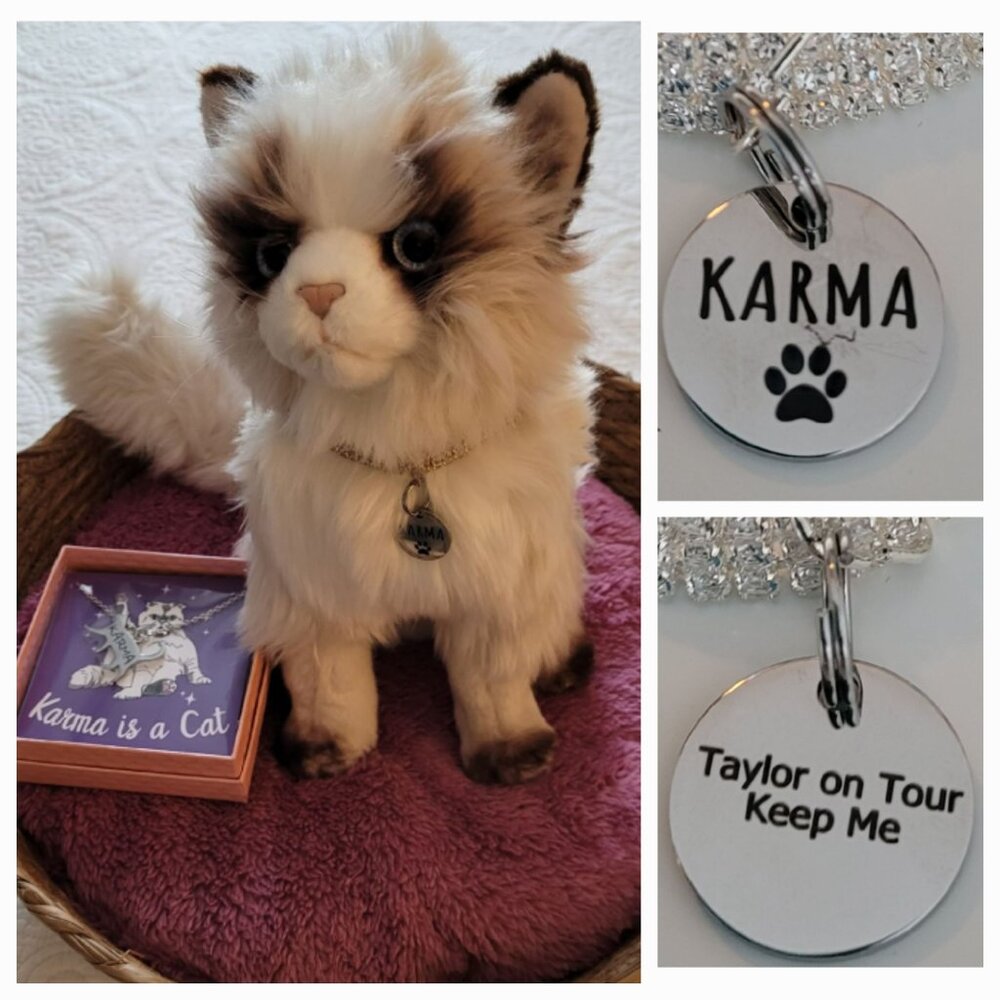 Taylor Swift KARMA Cat Inspired New Plush Cat, Rhinestone Collar/Tag & Basket